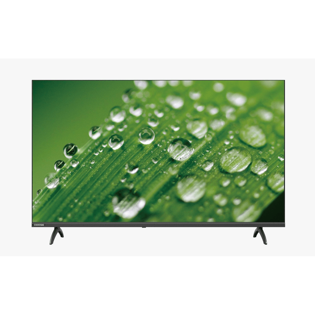 Z66 LED TV